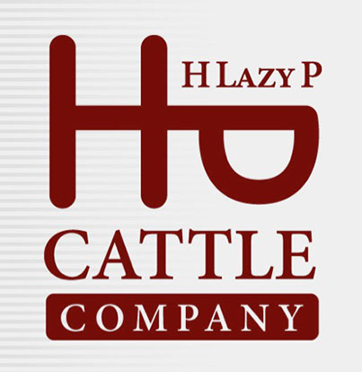 Branding Design