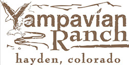 Branding Design